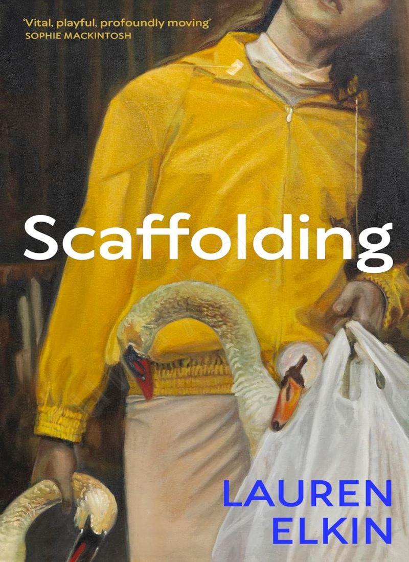 Scaffolding Model.Title