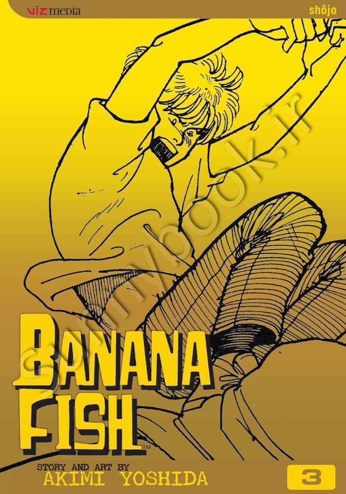 Banana Fish, Vol. 3 Model.Title