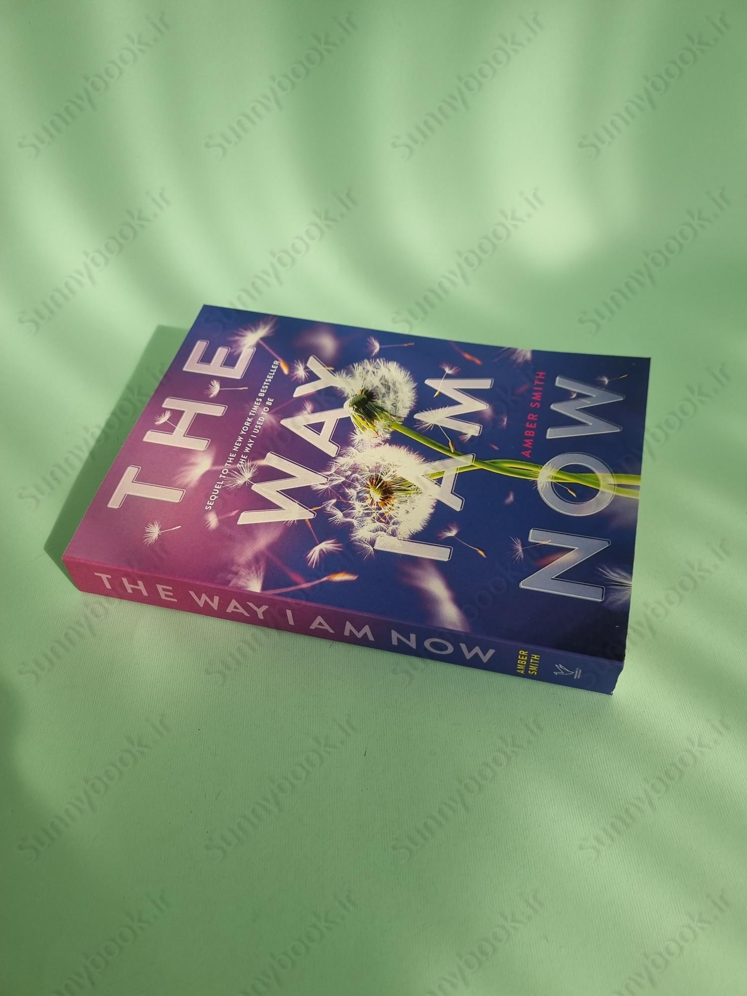 The Way I Am Now main 1 3