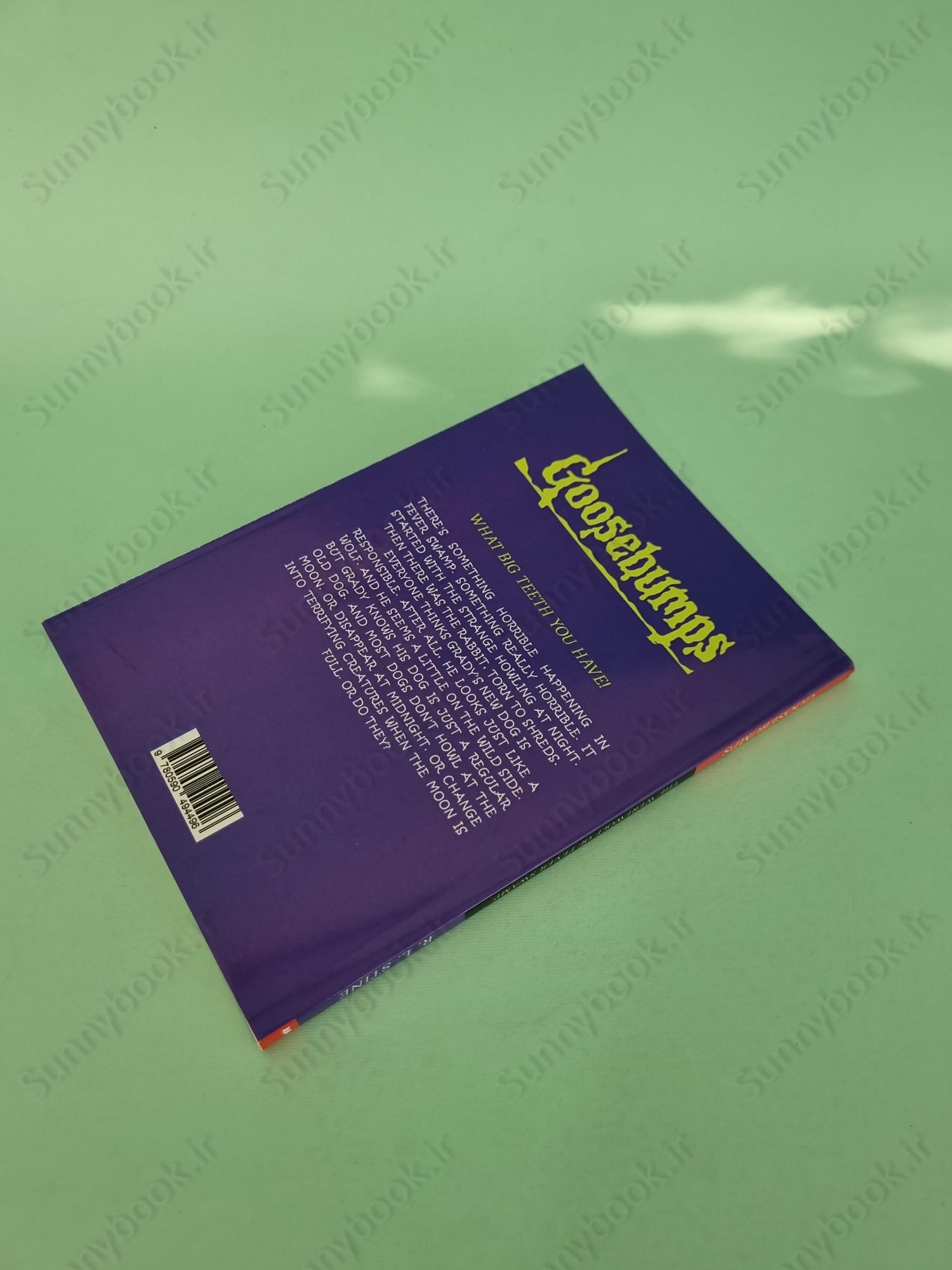 The Werewolf of Fever Swamp (Goosebumps 14) main 1 4