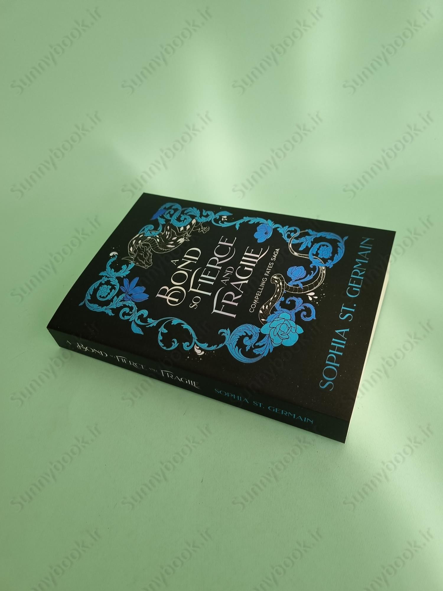 A Bond so Fierce and Fragile (Compelling Fates Saga 3) main 1 3