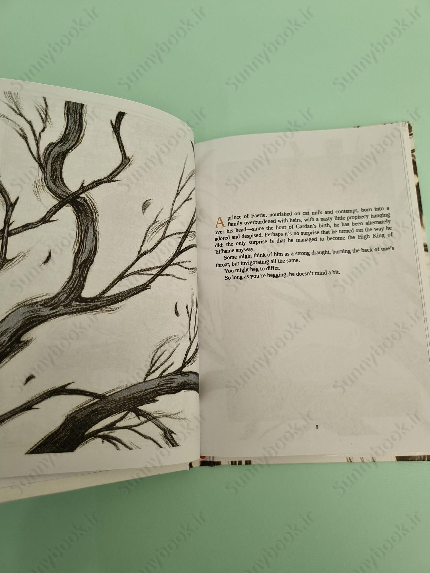 How the King of Elfhame Learned to Hate Stories (The Folk of the Air 3.5) main 1 6