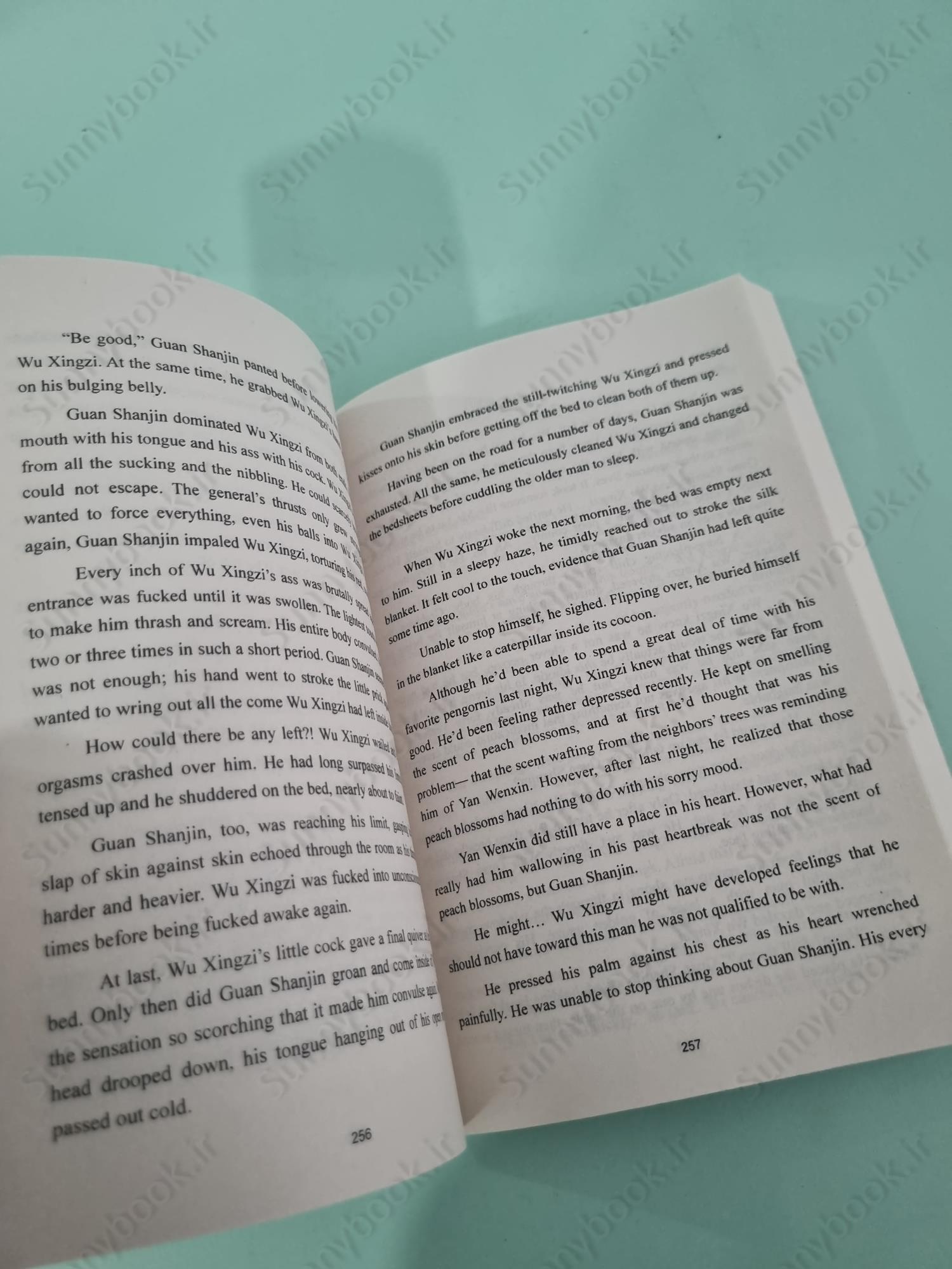 You've Got Mail: The Perils of Pigeon Post - Fei Ge Jiao You Xu Jin Shen (Novel) Vol. 2 main 1 7