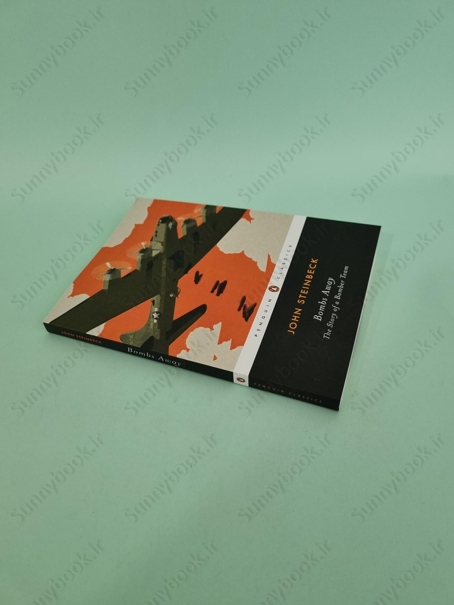 Bombs Away: The Story of a Bomber Team main 1 3