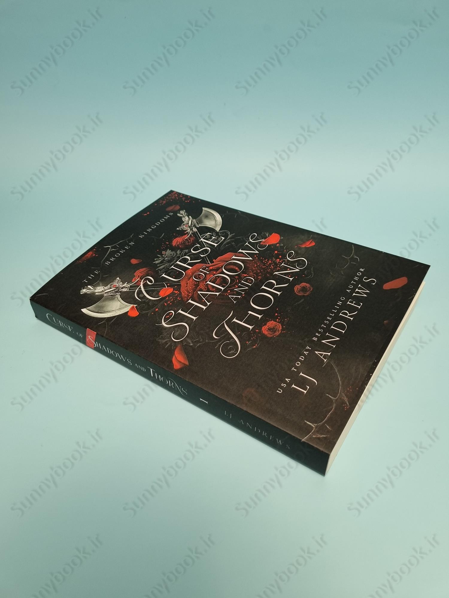 Curse of Shadows and Thorns (The Broken Kingdoms 1) main 1 3