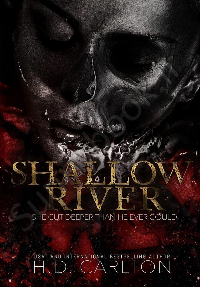 Shallow River Model.Title