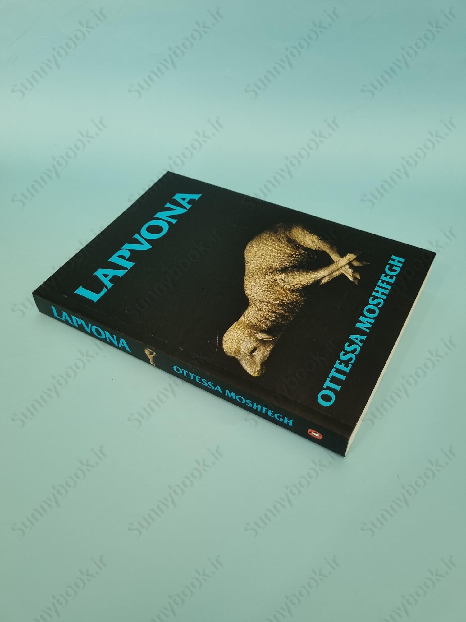Lapvona: The unmissable Sunday Times Bestseller main 1 3