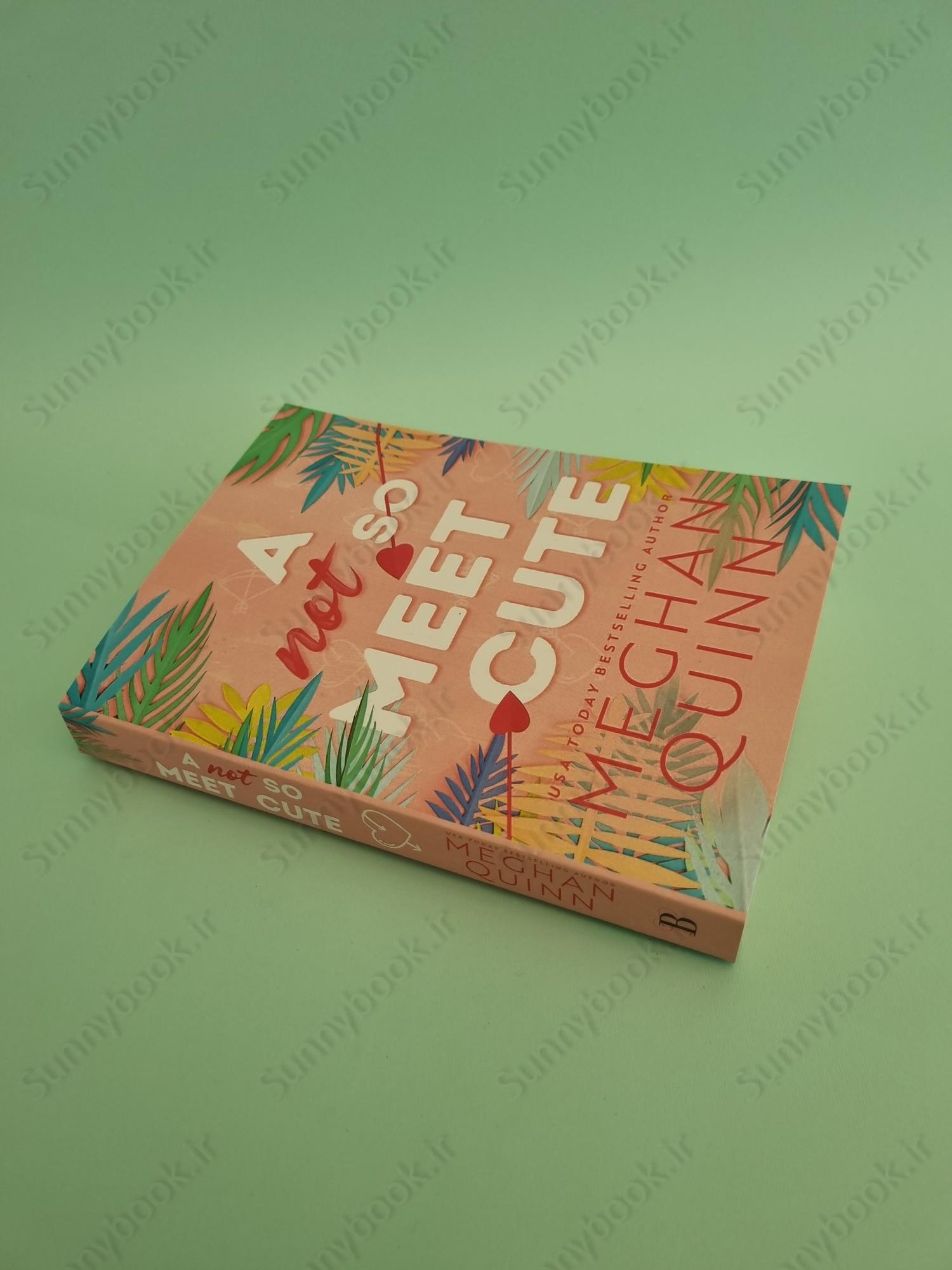 A Not So Meet Cute (Cane Brothers, 1) main 1 3