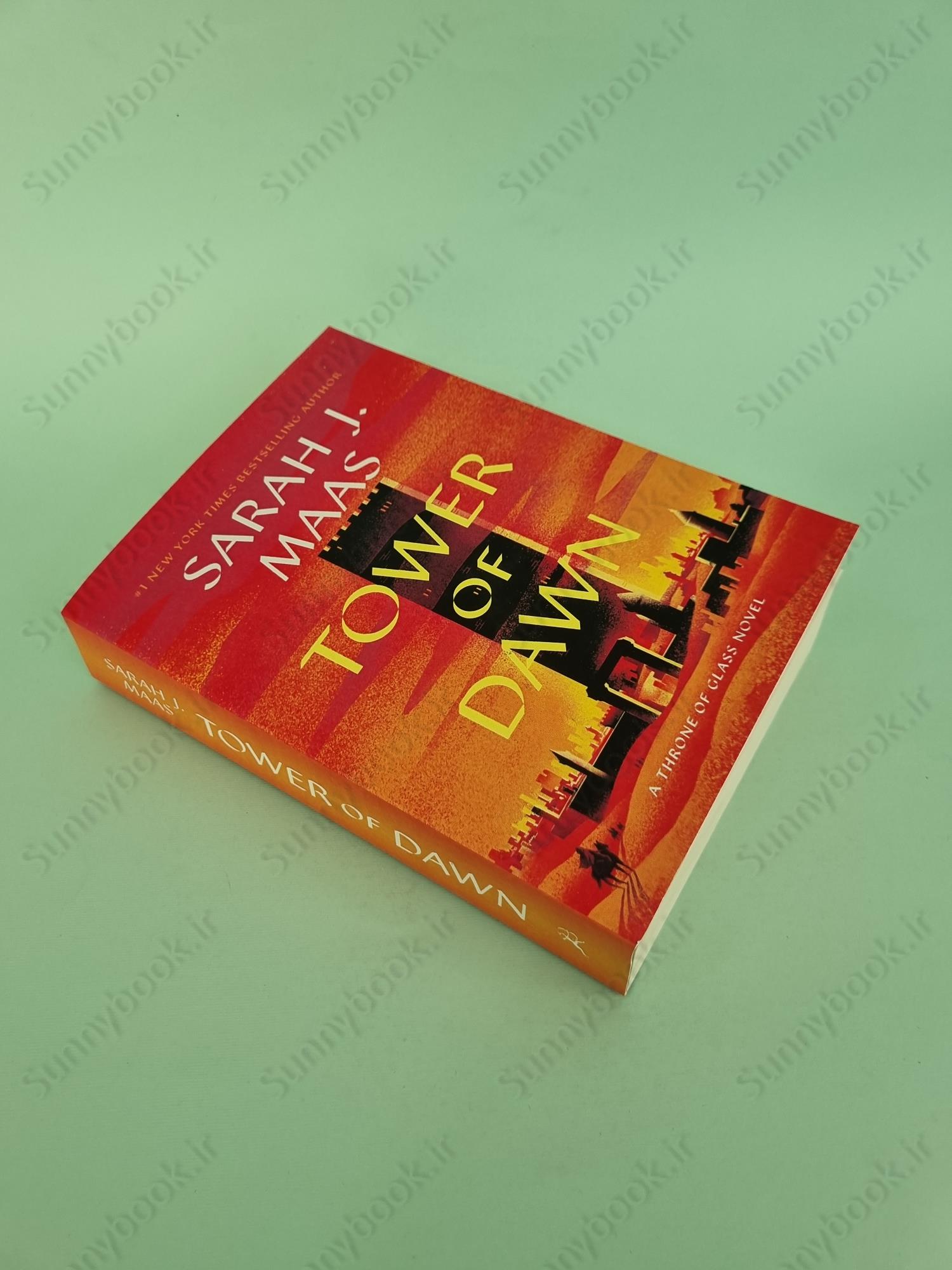 Tower of Dawn (Throne of Glass, 6) main 1 5