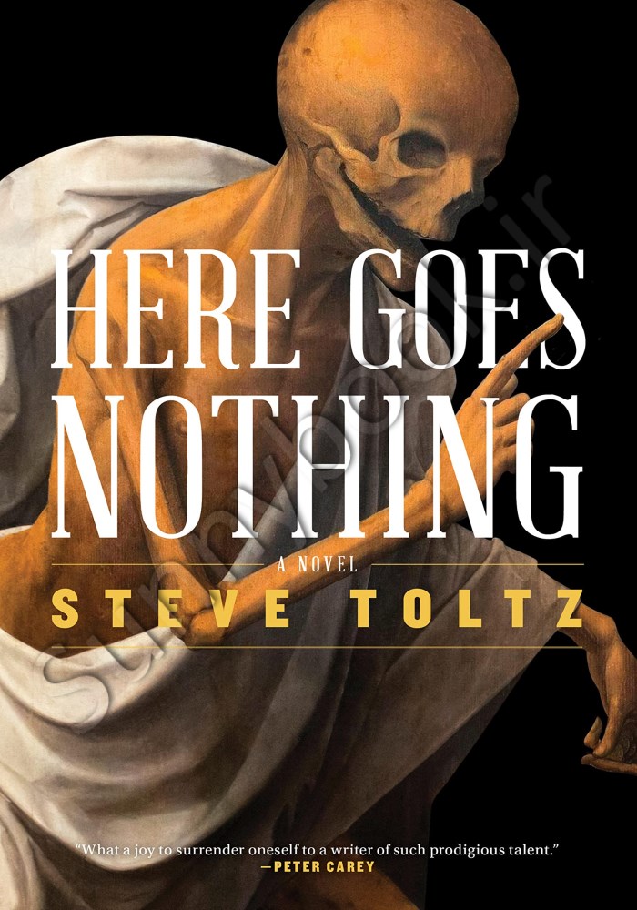 Here Goes Nothing Model.Title