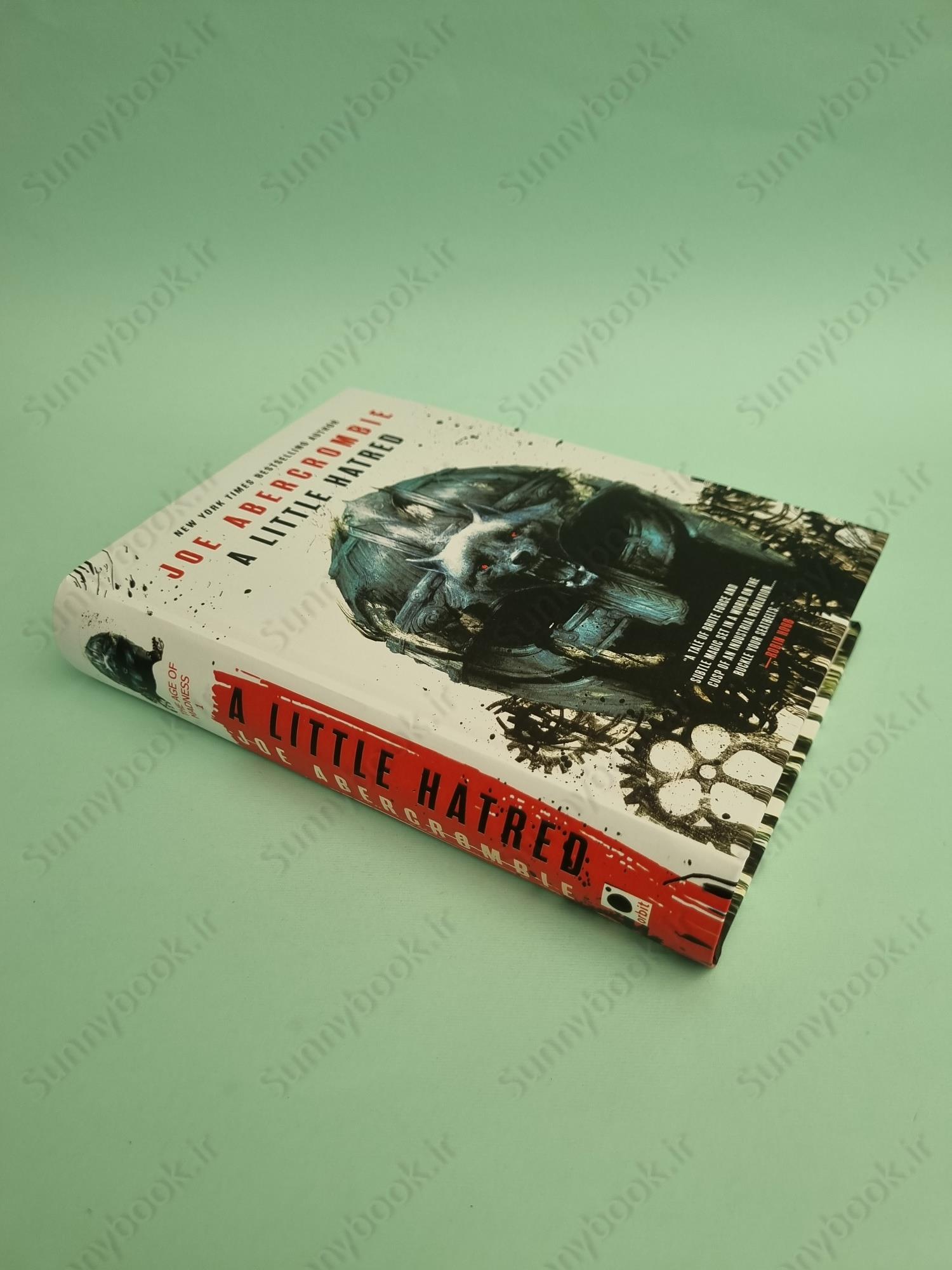 A Little Hatred (The Age of Madness 1) main 1 3