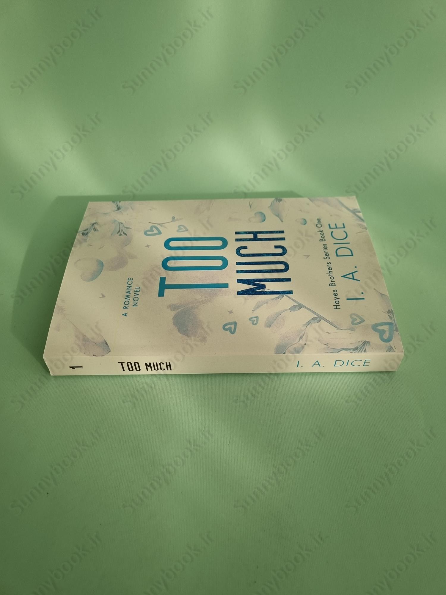 Too Much (Hayes Brothers Book 1) main 1 4