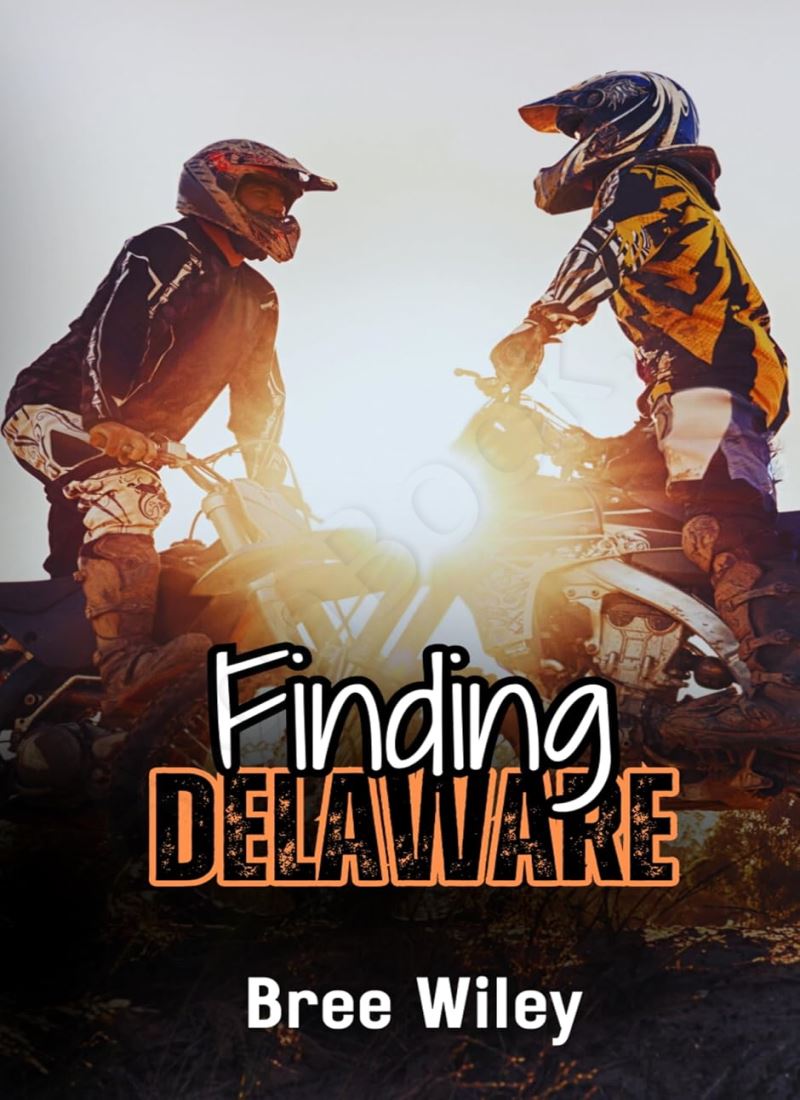 Finding Delaware (State of Us 1) Model.Title