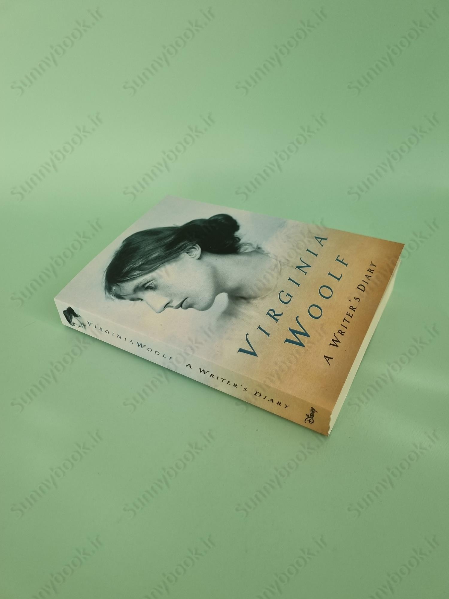 A Writer's Diary main 1 3