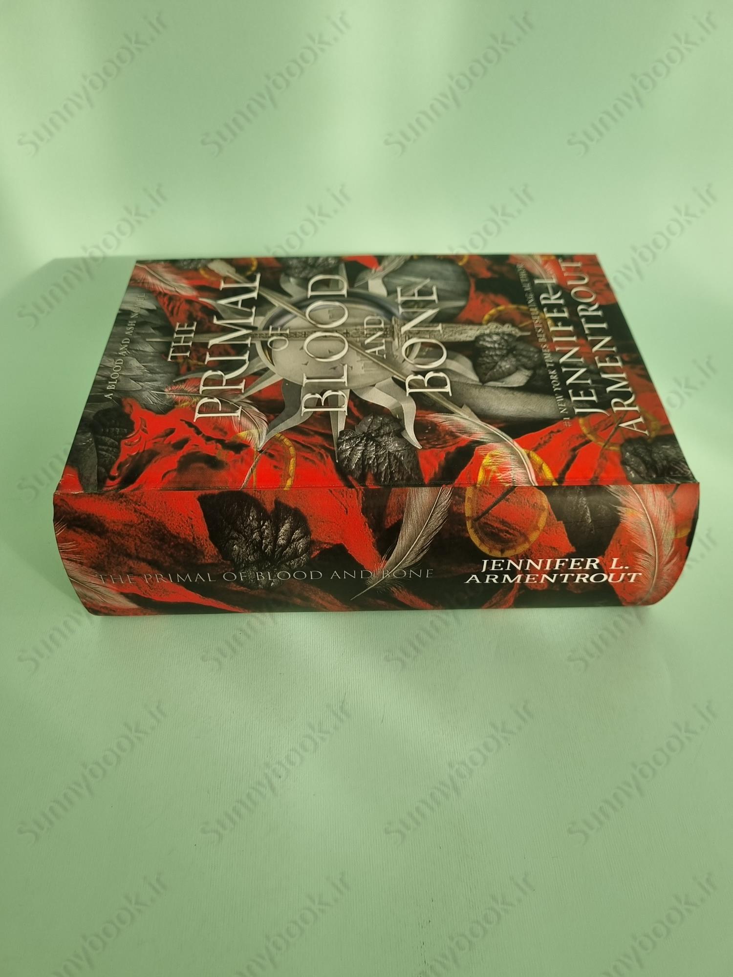 The Primal of Blood and Bone (Blood and Ash 6) main 1 4