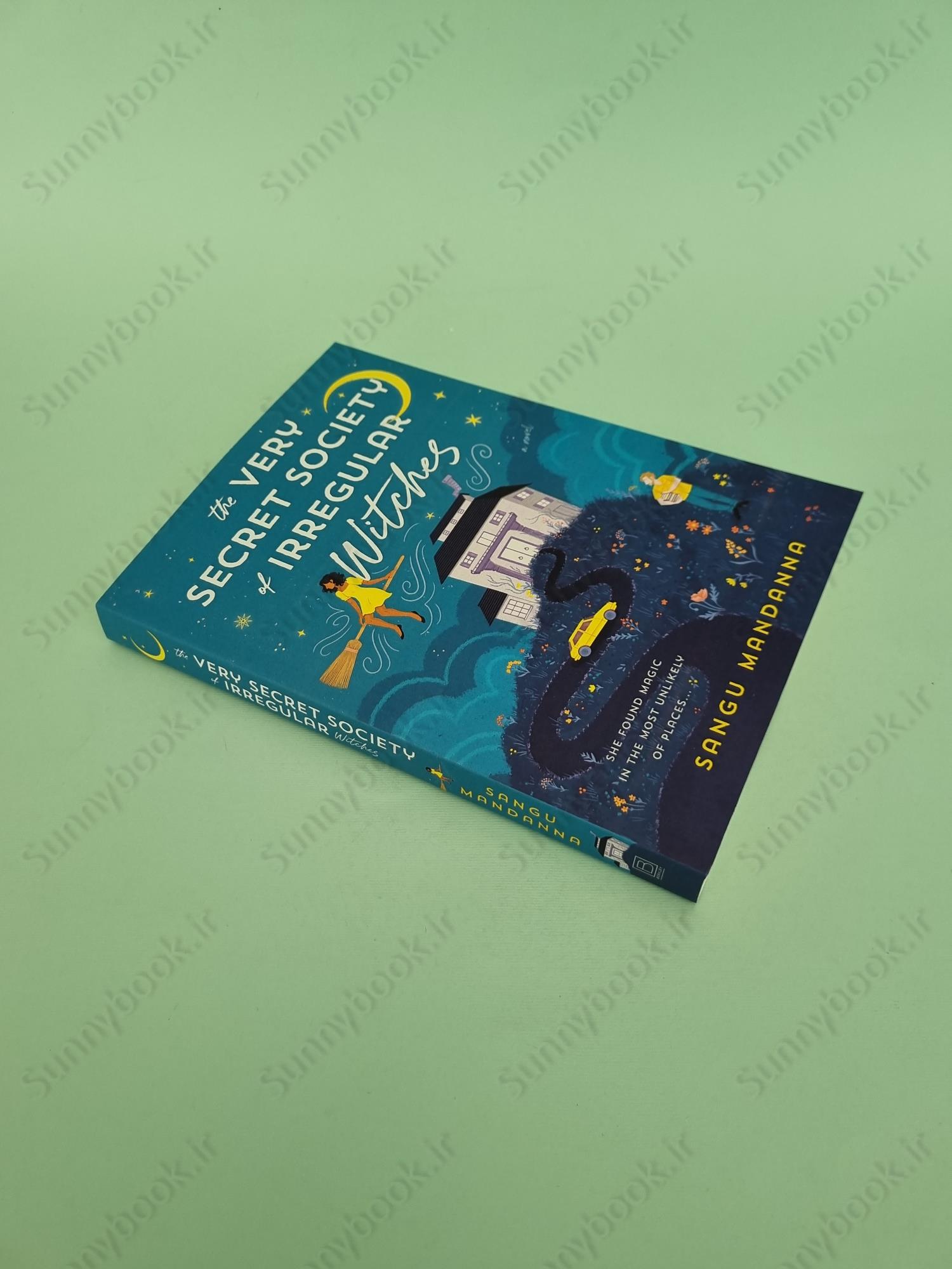 The Very Secret Society of Irregular Witches main 1 3