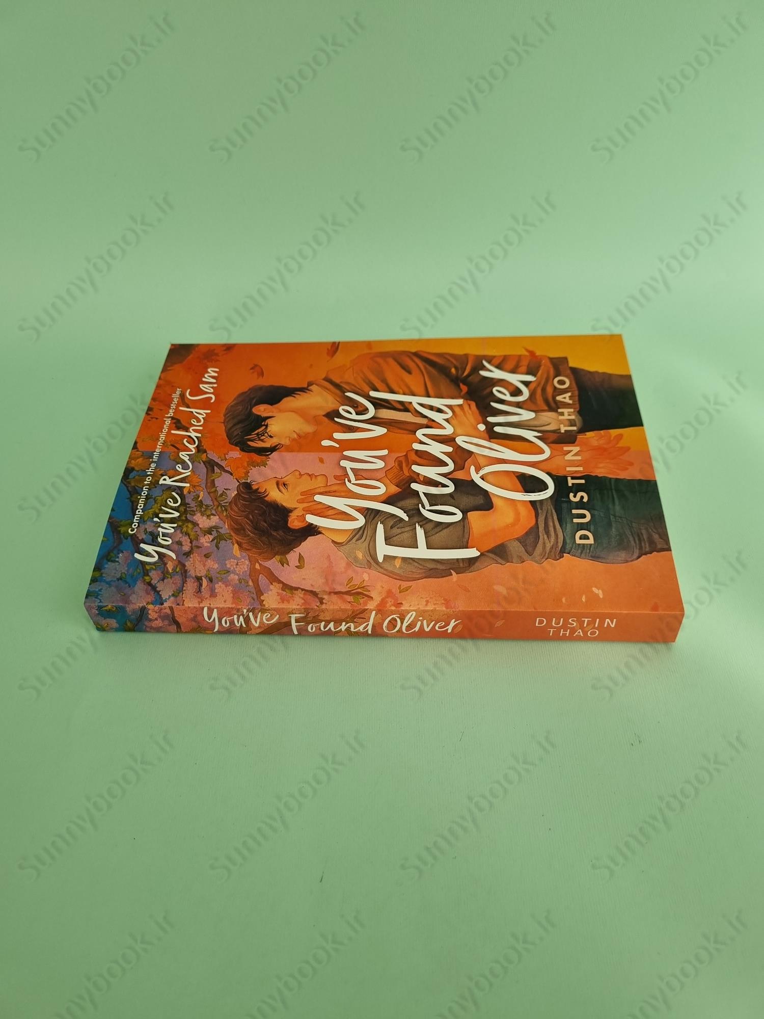 You've Found Oliver (You've Reached Sam 2) main 1 4