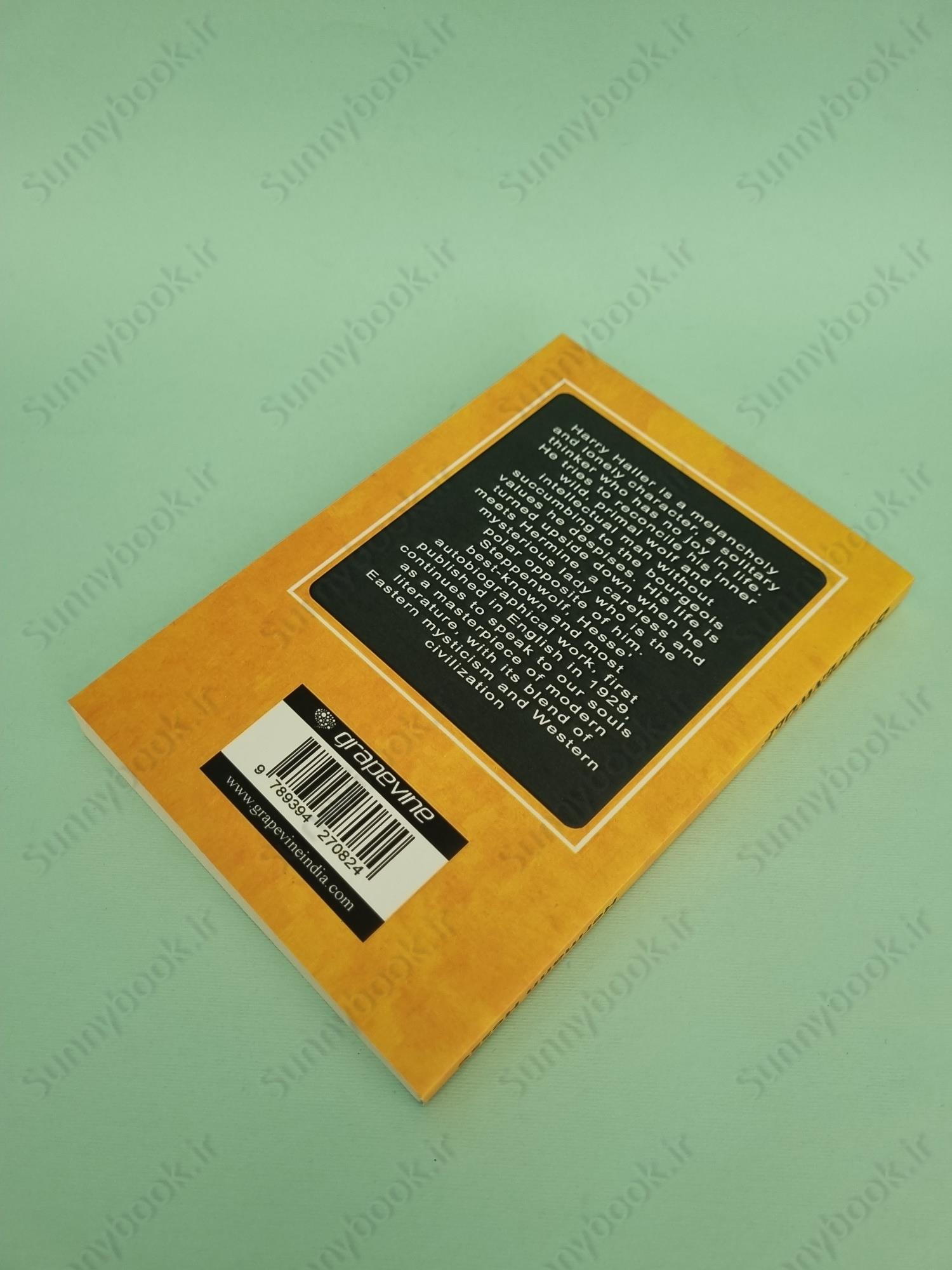 Steppenwolf main 1 4