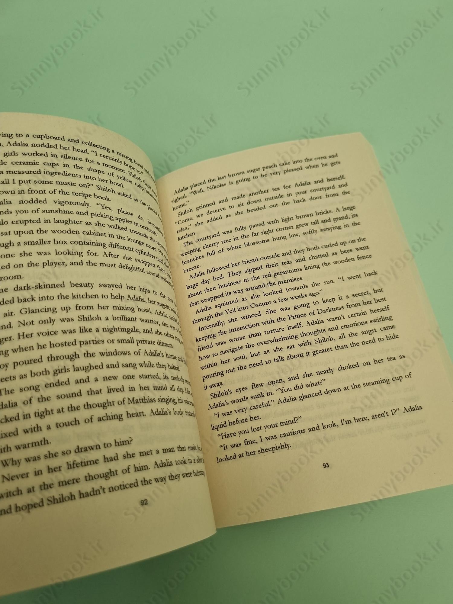 When Shadows Seek Light main 1 5