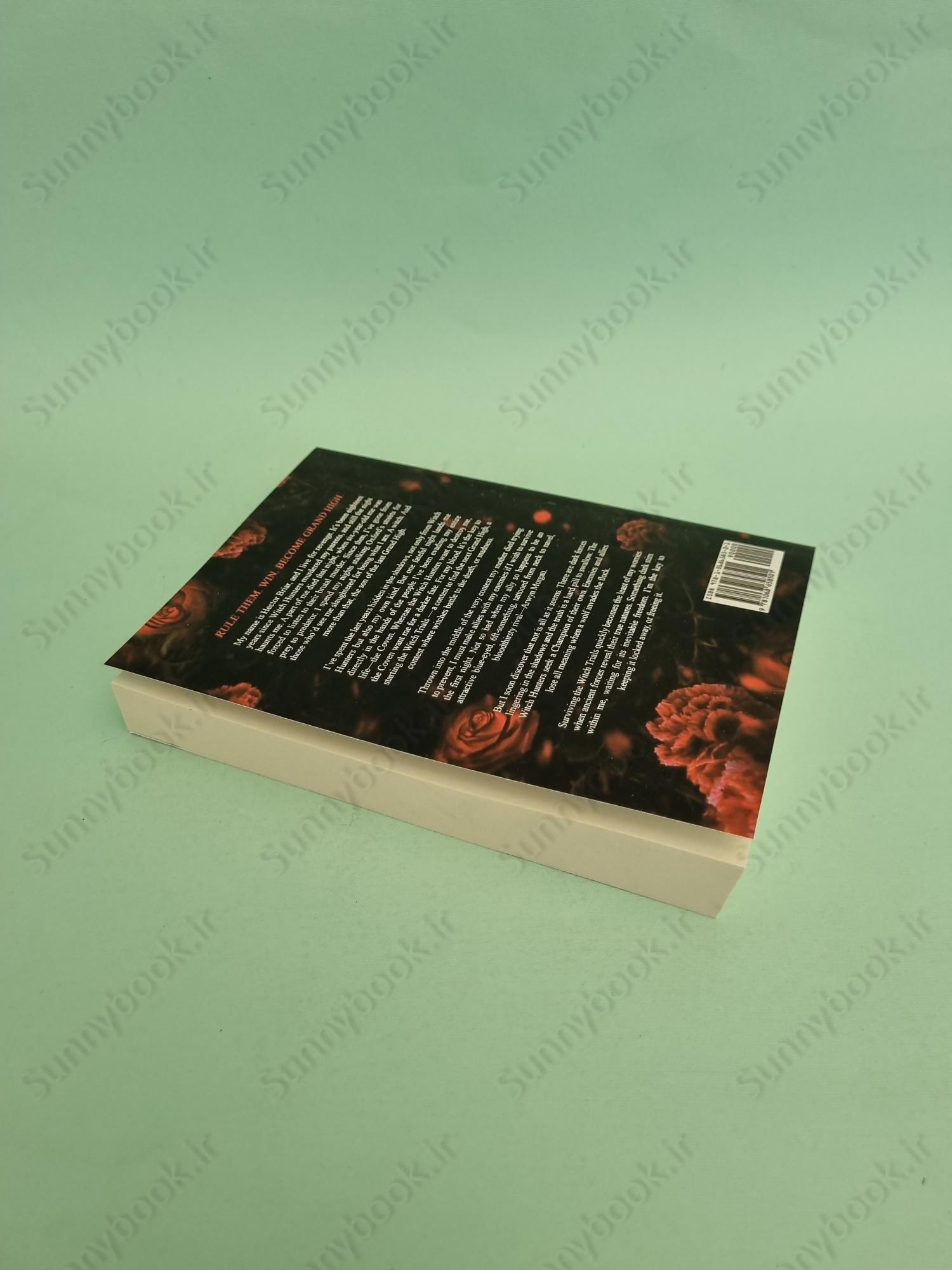 The Witch and His Crow main 1 6