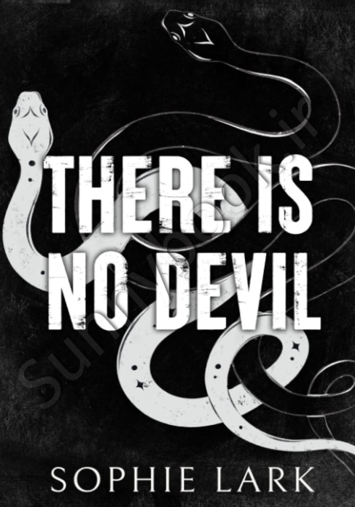 There Is No Devil (Sinners Duet Book 2) Model.Title