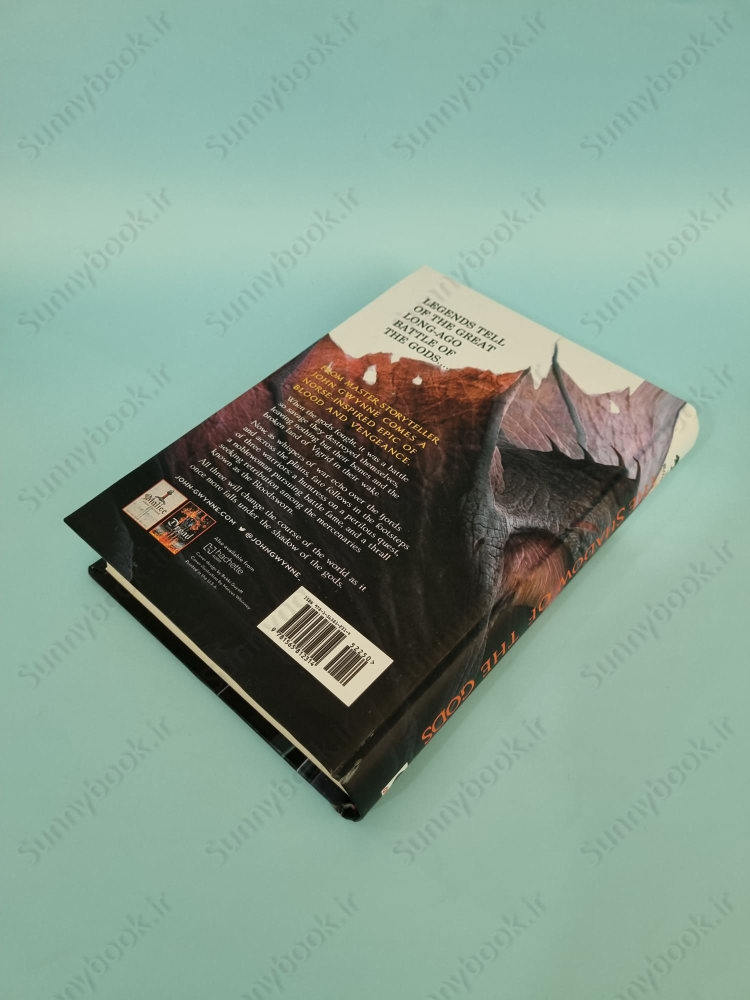 The Shadow of the Gods (Bloodsworn Saga 1) main 1 5