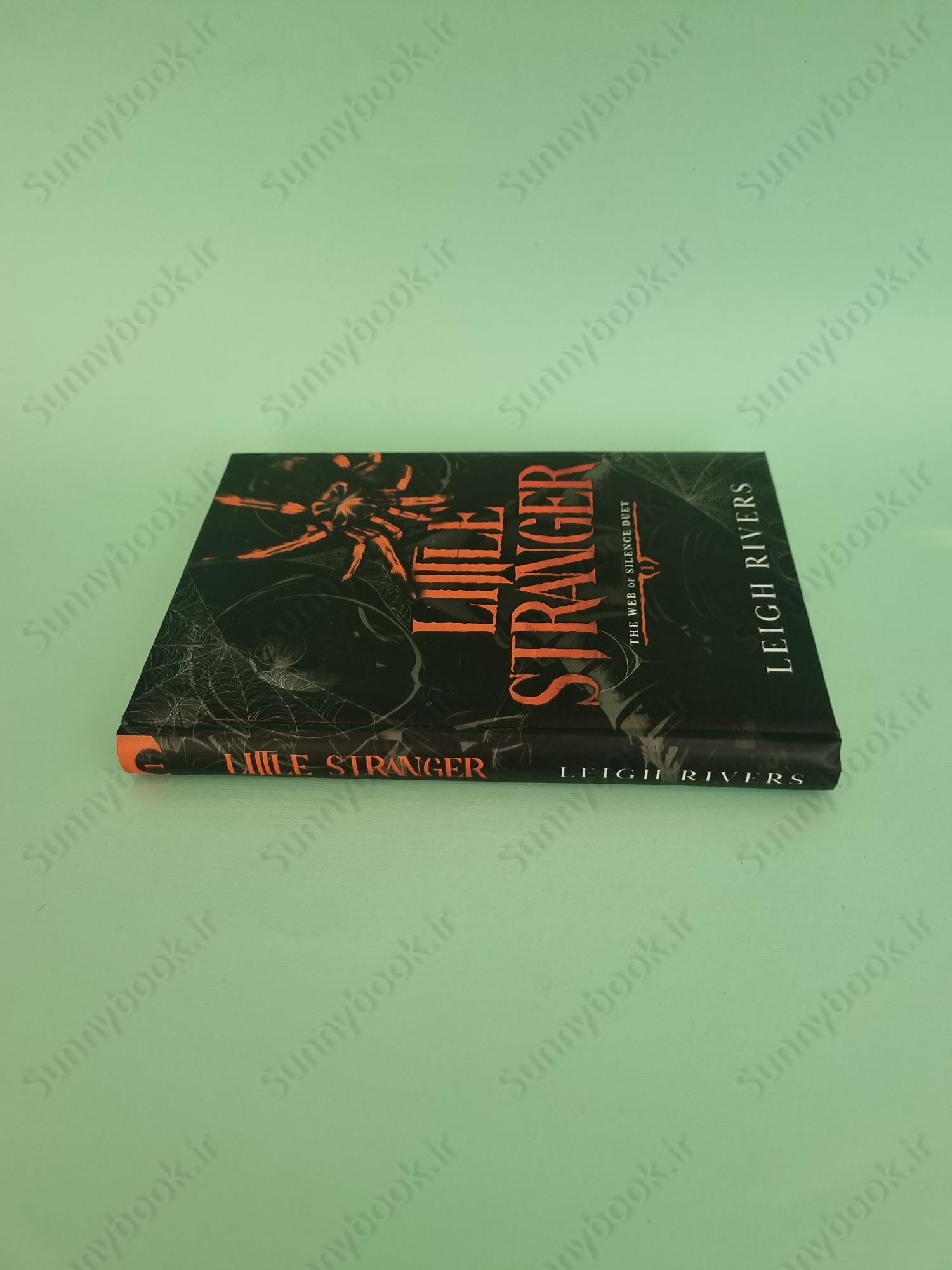 Little Stranger (The Web of Silence Duet 1) main 1 4