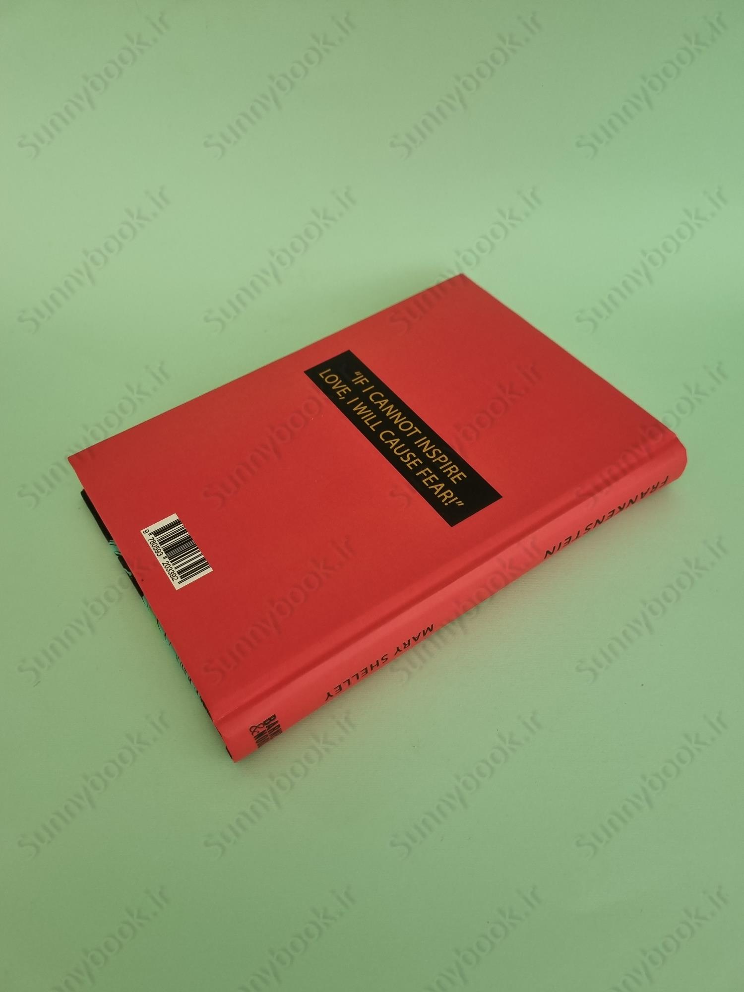 Frankenstein main 1 5