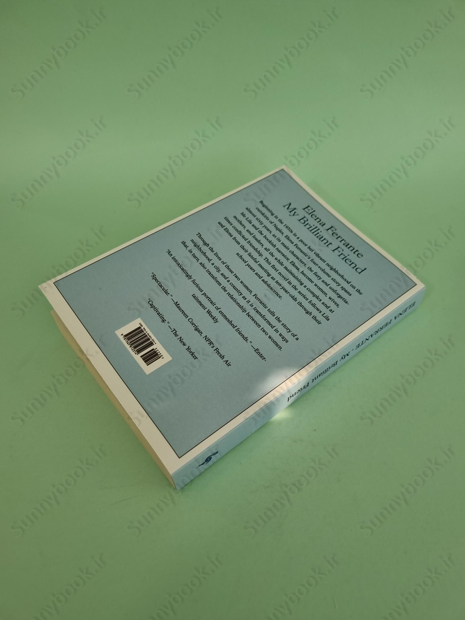 My Brilliant Friend (Neapolitan Novels, 1) main 1 5