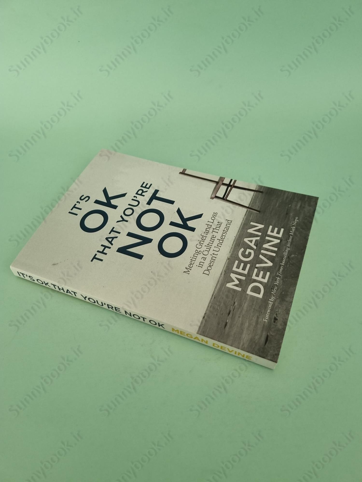 It'S Ok That You'Re Not Ok: Meeting Grief And Loss In A Culture That Doesn'T Understand main 1 3