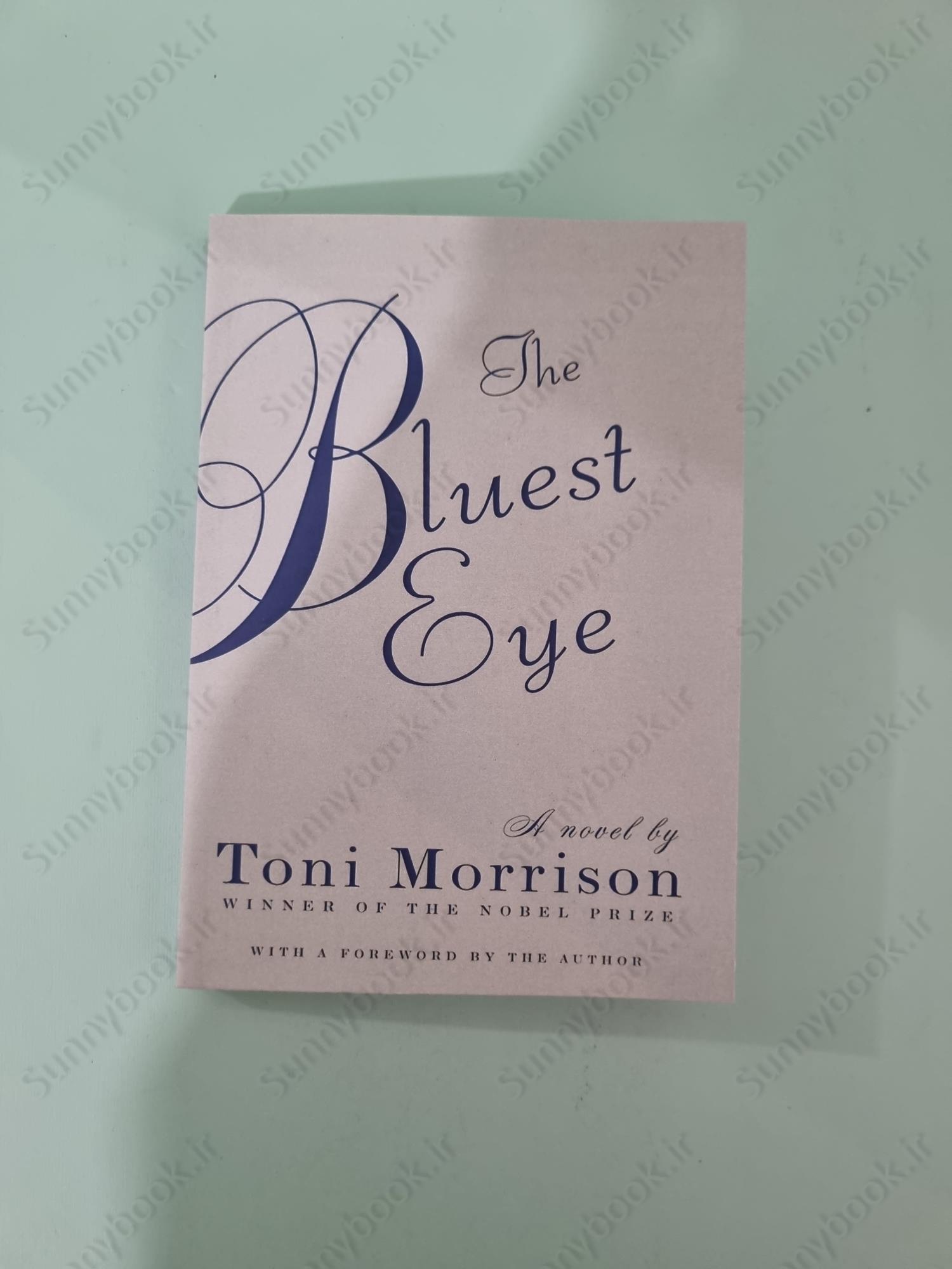 The Bluest Eye main 1 2