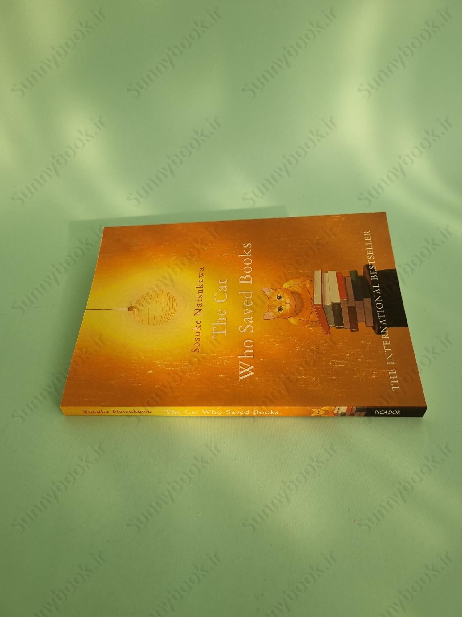 The Cat Who Saved Books main 1 4