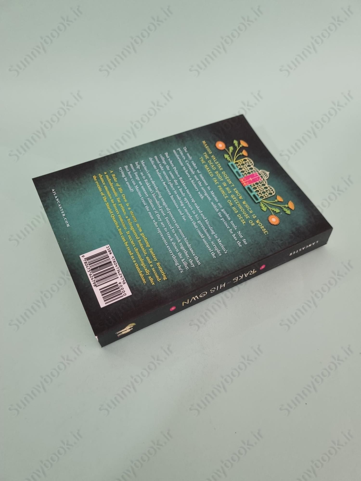 A Rake of His Own (Stariel 5) main 1 5