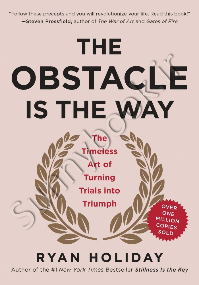 The Obstacle Is the Way Model.Title