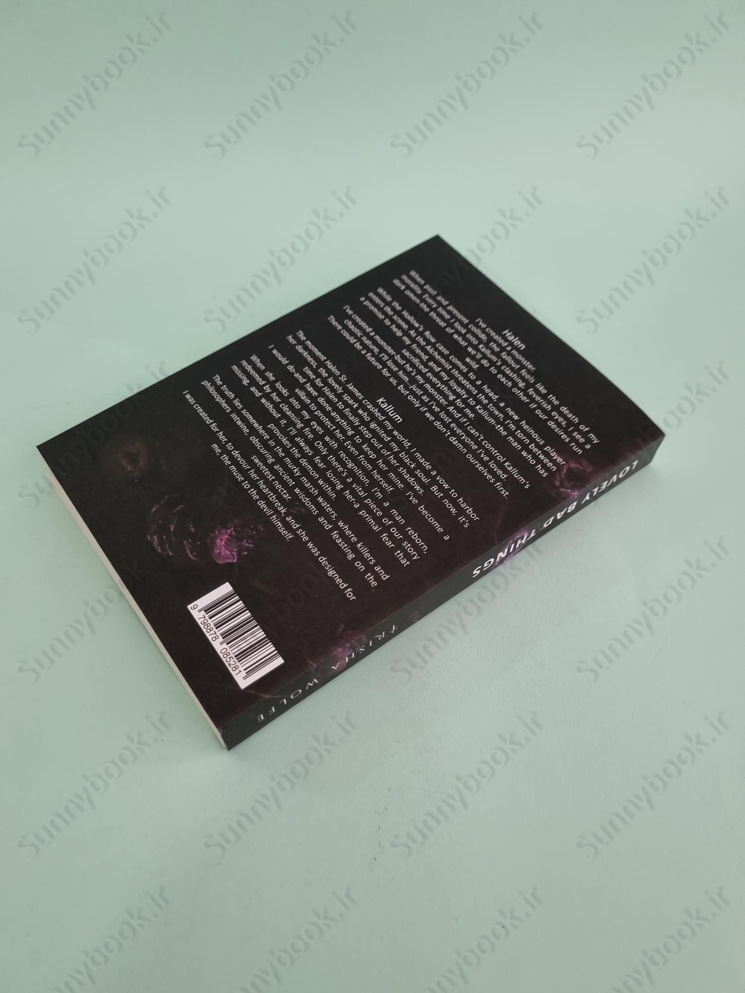 Lovely Wicked Things (Hollow's Row Book 3) main 1 5