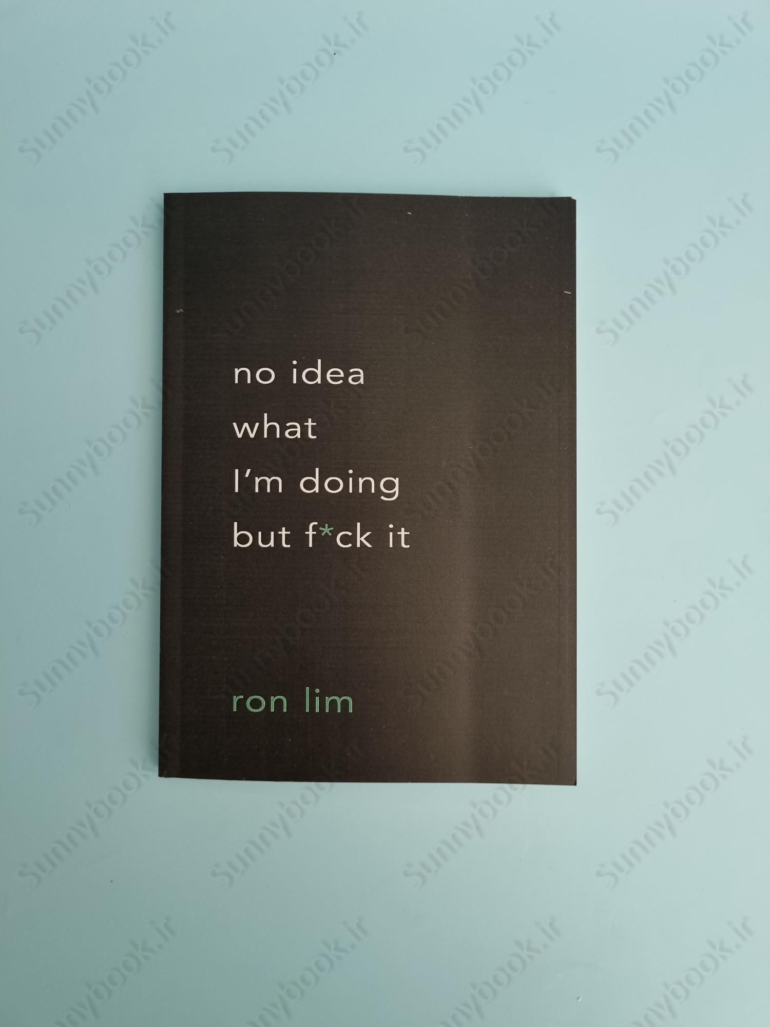 No Idea What I'm Doing but F*ck It main 1 2