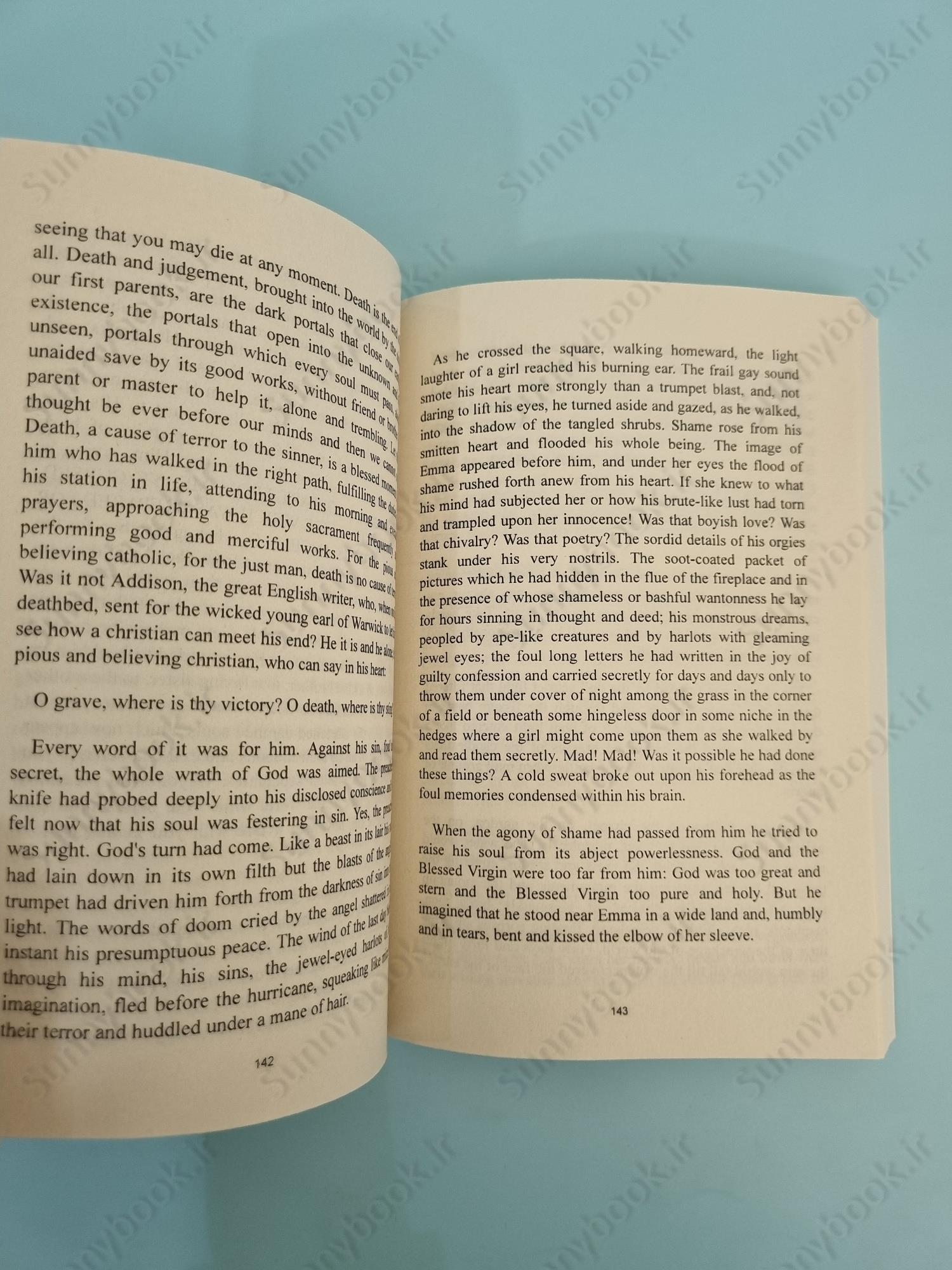 A Portrait of the Artist as a Young Man main 1 6