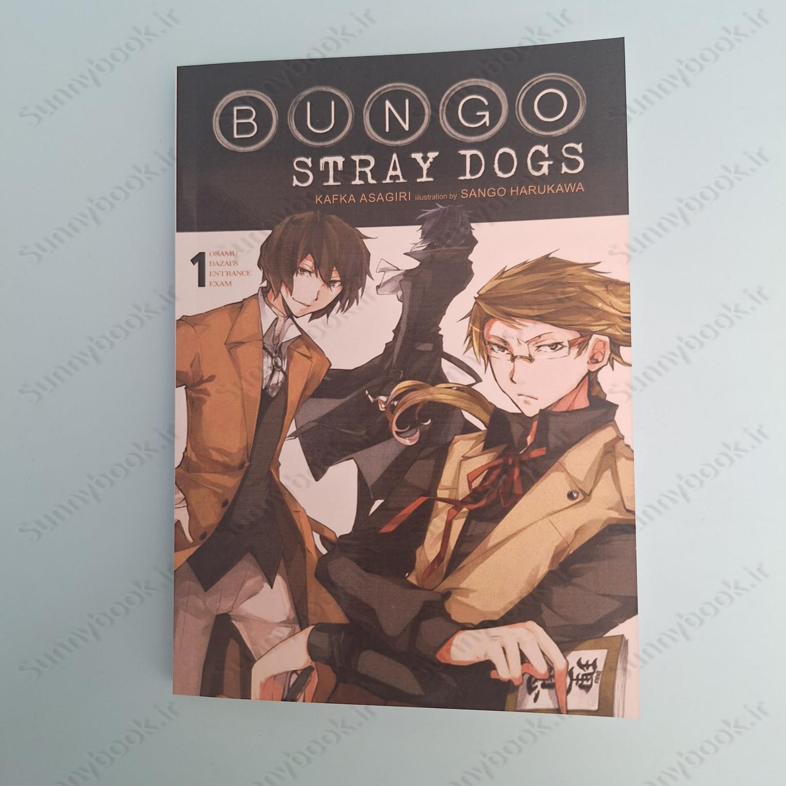 Bungo Stray Dogs Vol. 1 main 1 2