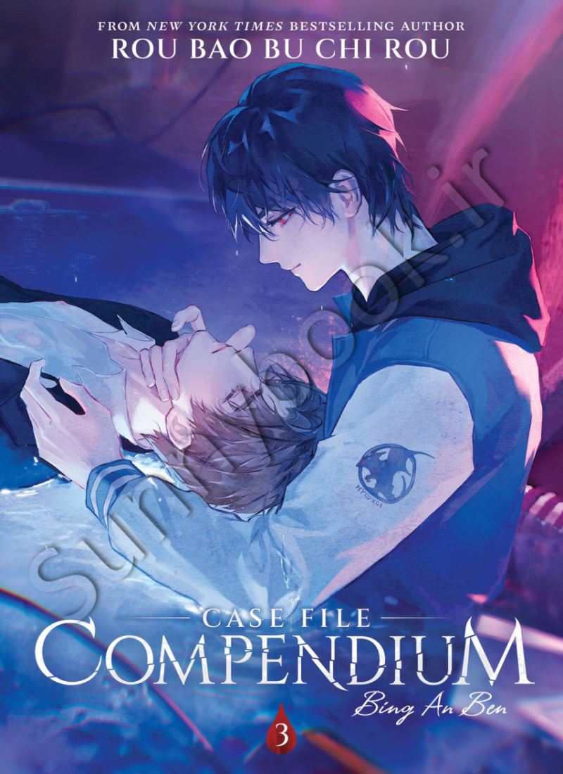Case File Compendium: Bing An Ben (Novel) Vol. 3 Model.Title