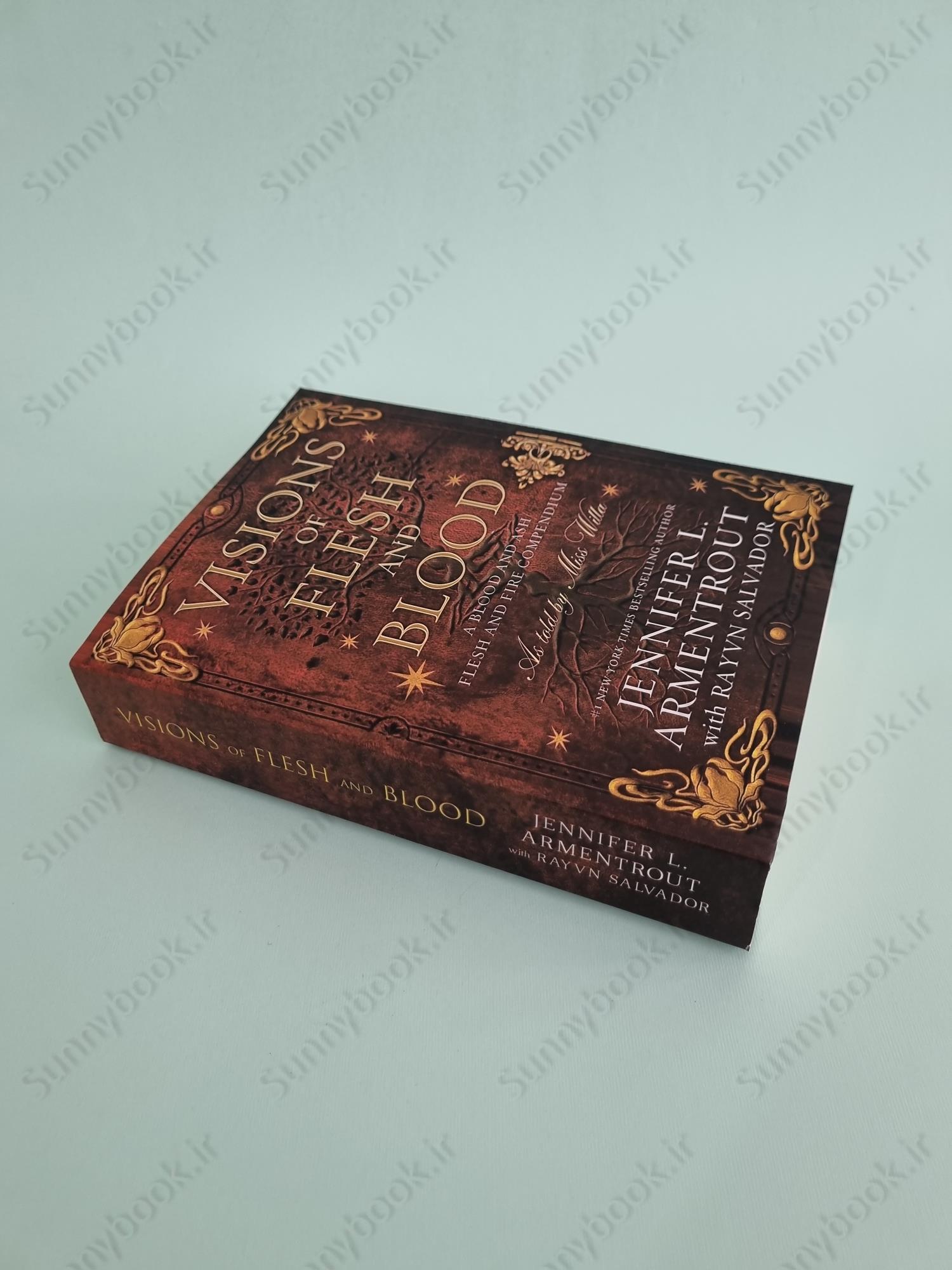 Visions of Flesh and Blood (Blood And Ash Book 5.5) main 1 3