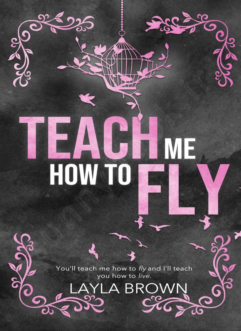 Teach Me How To Fly Model.Title