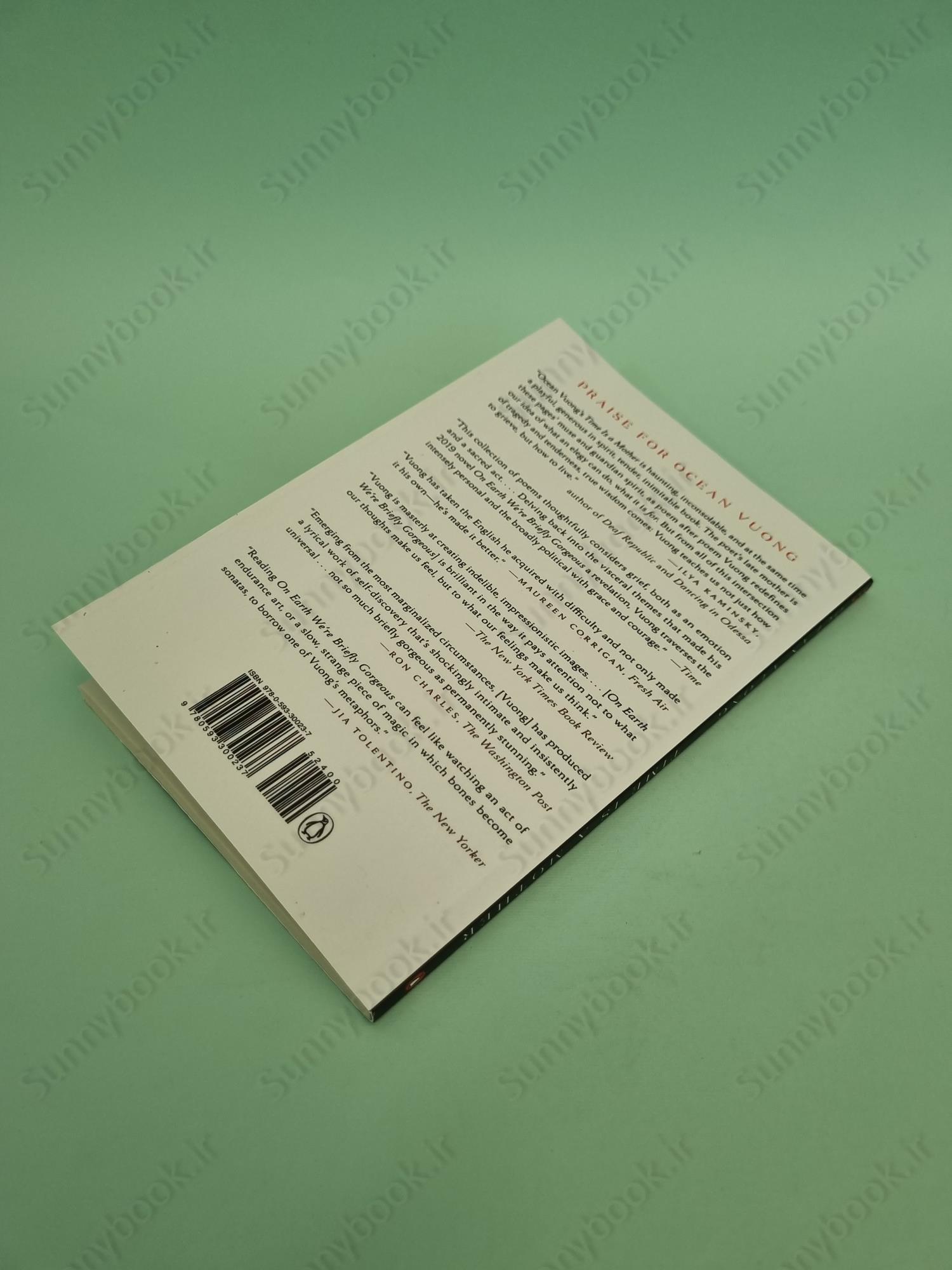 Time Is a Mother main 1 5