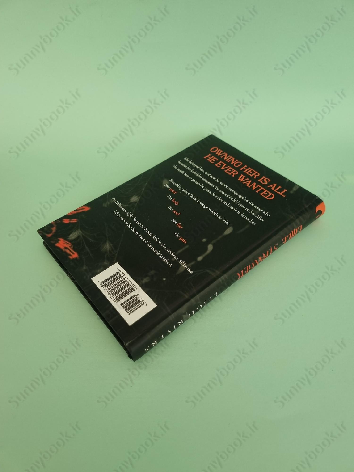 Little Stranger (The Web of Silence Duet 1) main 1 5