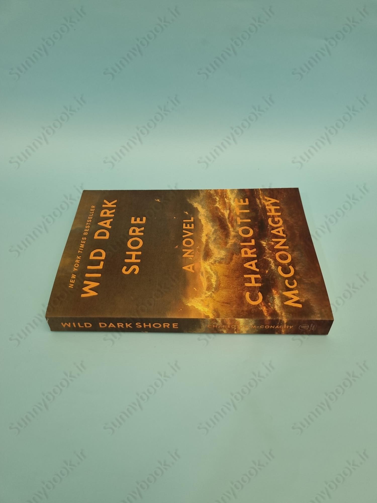 Wild Dark Shore main 1 4