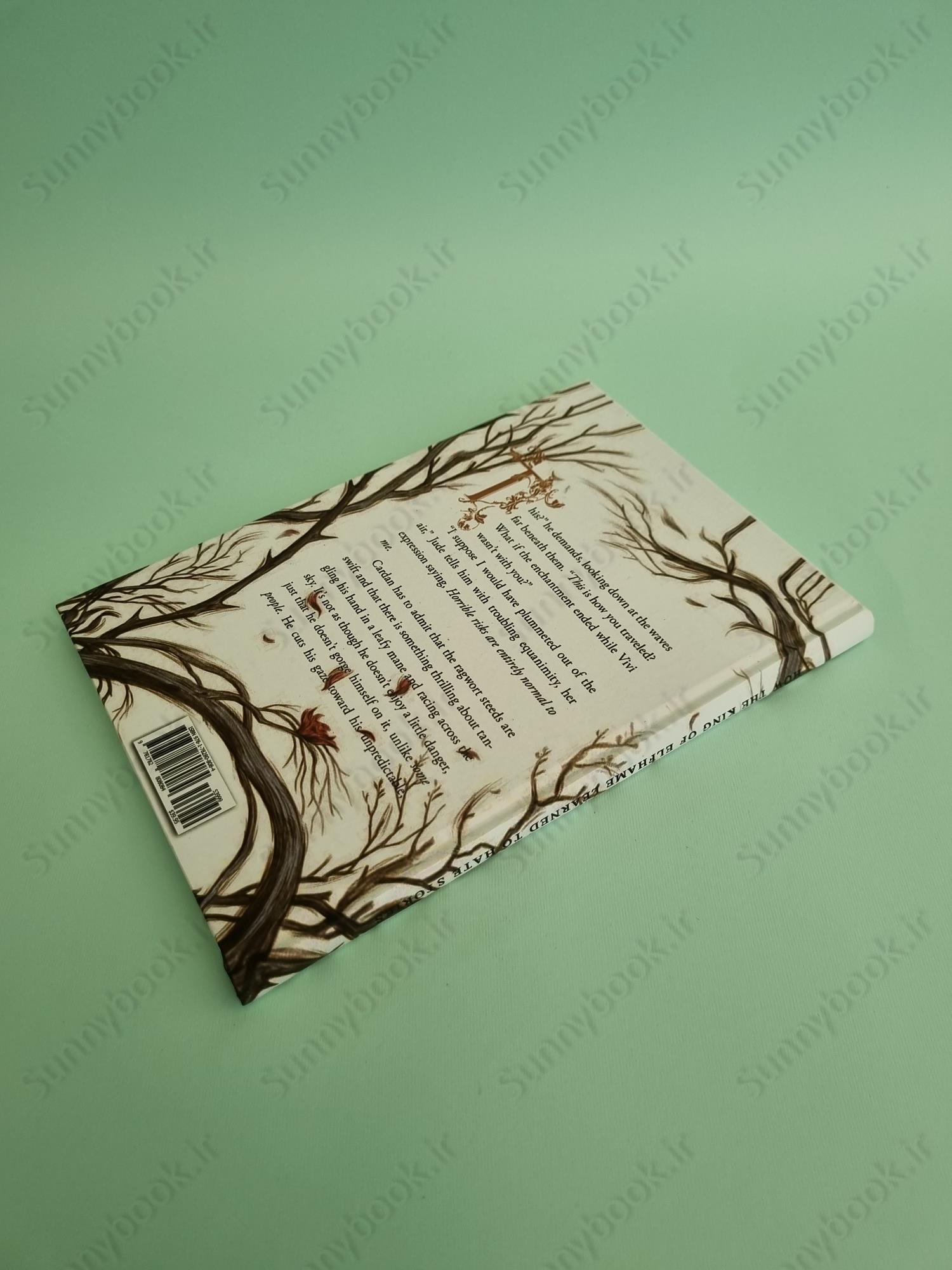 How the King of Elfhame Learned to Hate Stories (The Folk of the Air 3.5) main 1 4