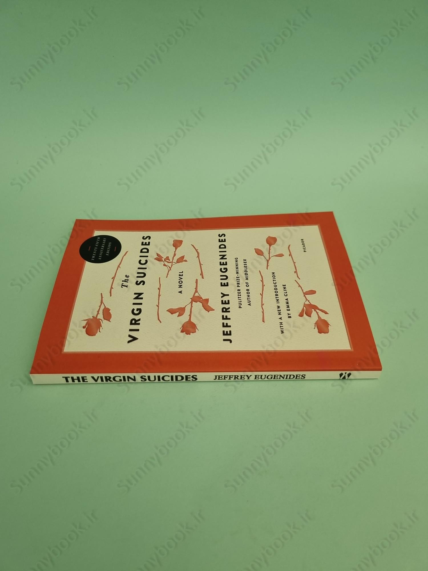 The Virgin Suicides main 1 5