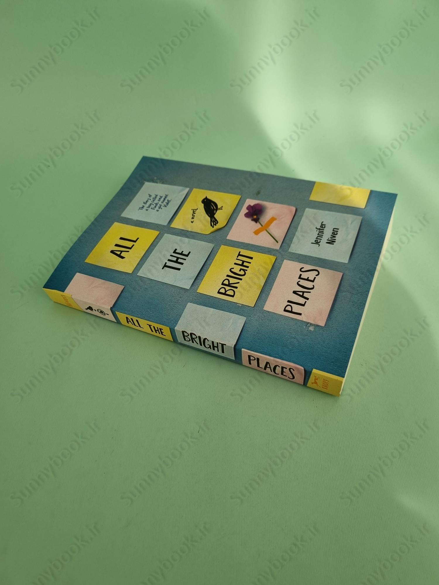 All the Bright Places main 1 3