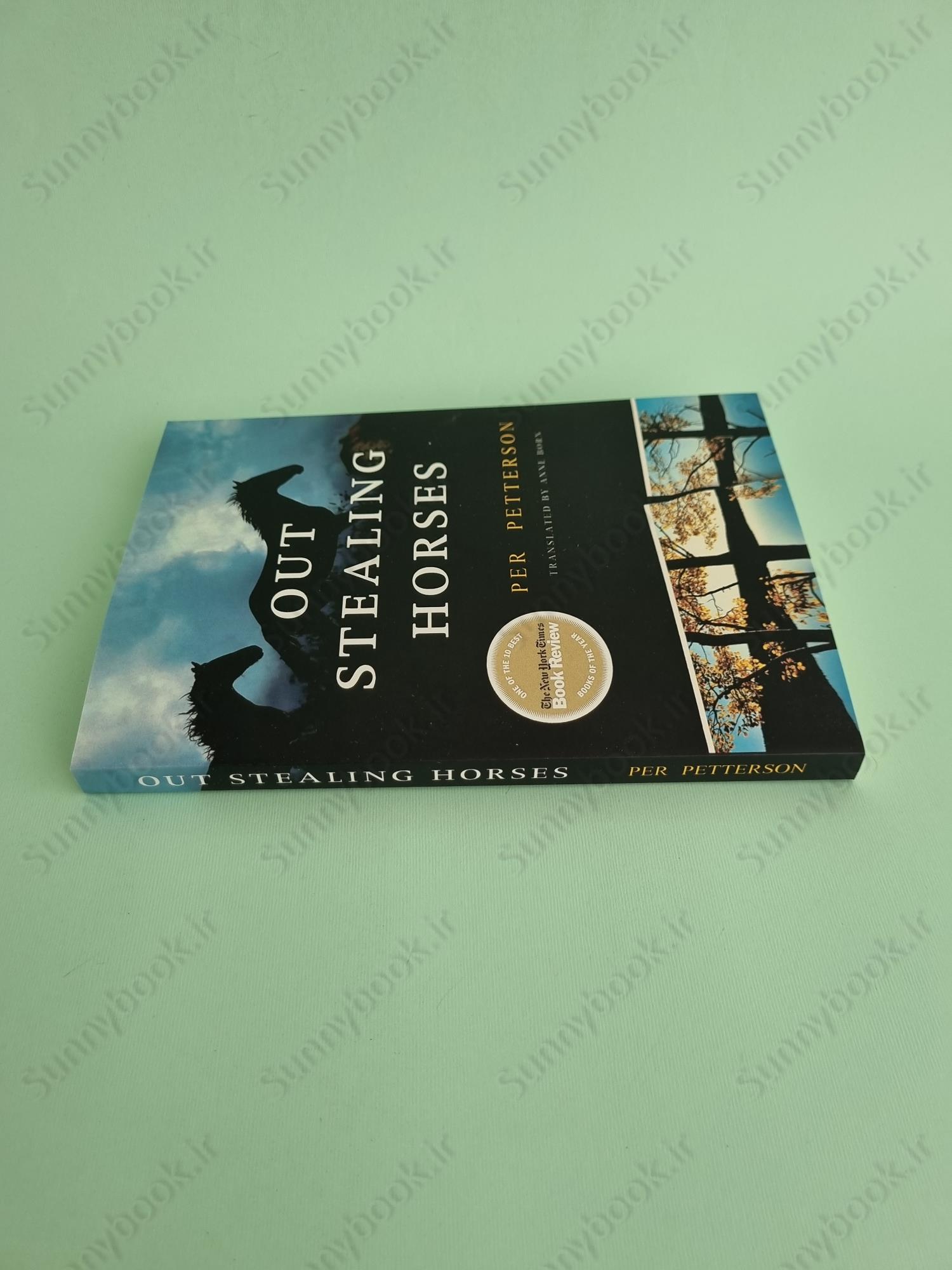 Out Stealing Horses main 1 4