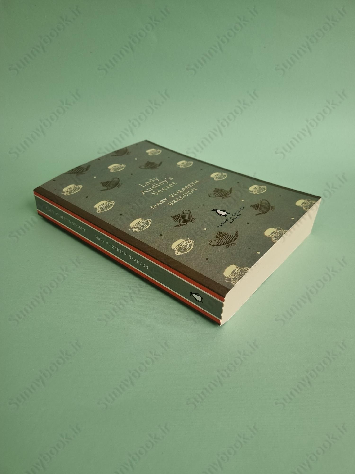 Lady Audley's Secret main 1 3