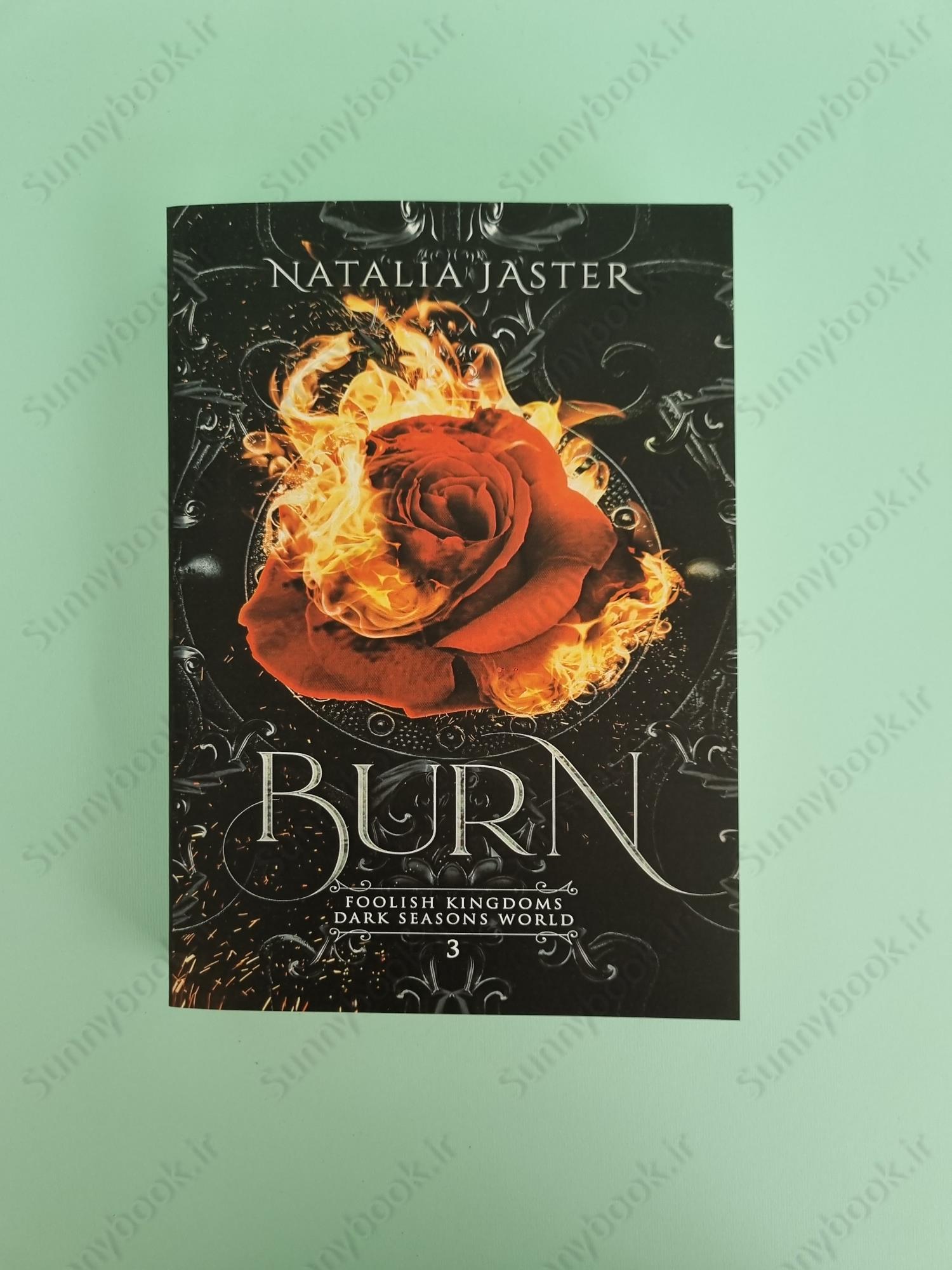 Burn (Foolish Kingdoms 3) main 1 2